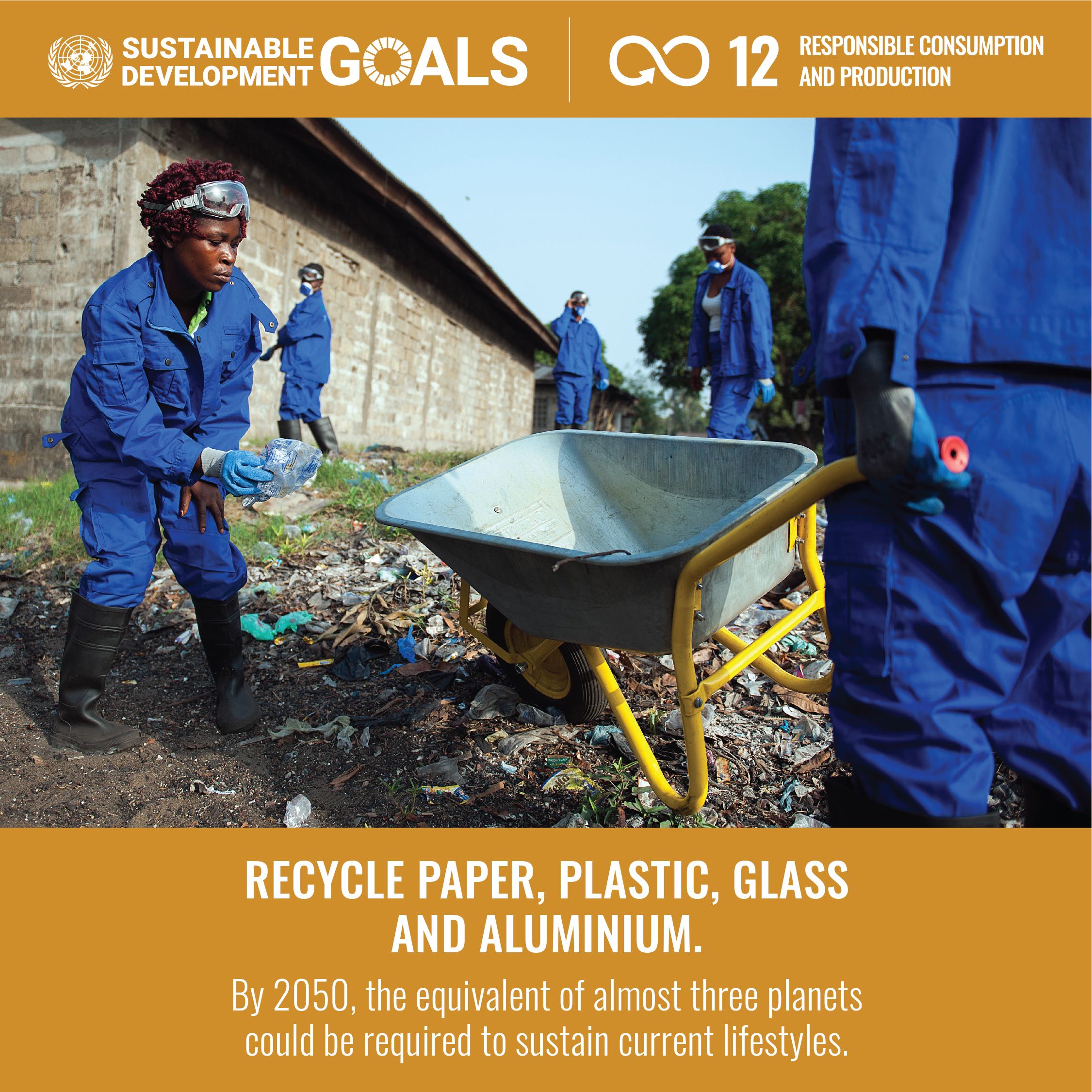 SDGs Goal 12
