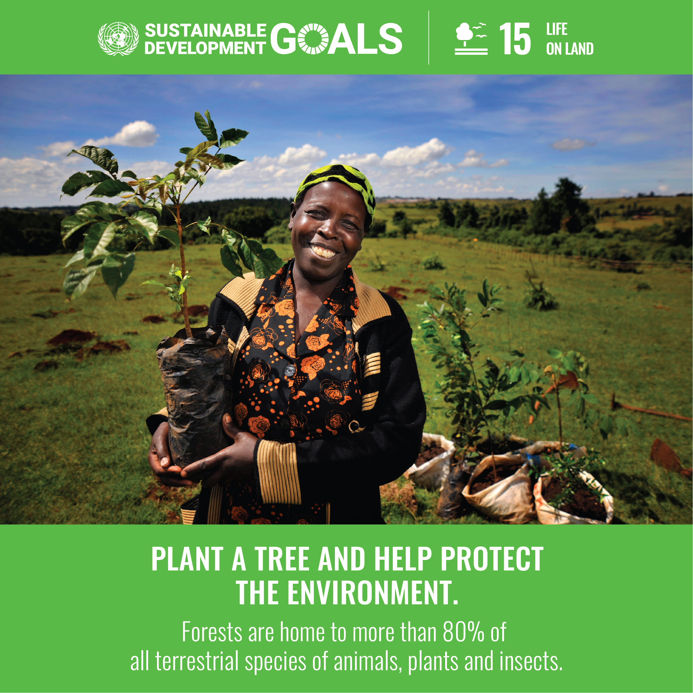 SDGs Goal 15