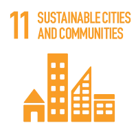 SDG 11