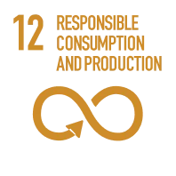 SDG 12