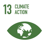 SDG 13